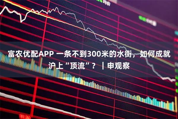 富农优配APP 一条不到300米的水街，如何成就沪上“顶流”？｜申观察