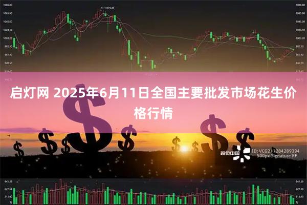 启灯网 2025年6月11日全国主要批发市场花生价格行情