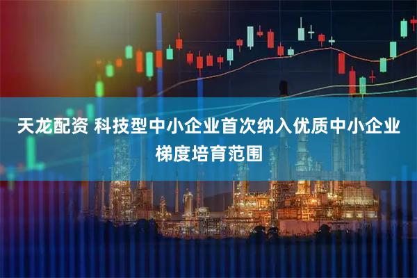 天龙配资 科技型中小企业首次纳入优质中小企业梯度培育范围